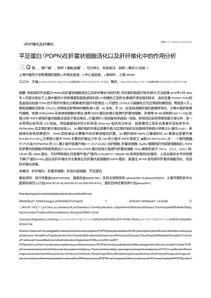 平足蛋白（PDPN）在肝星状细胞活化以及肝纤维化中的作用分析.docx