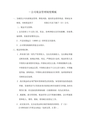 ____公司现金管理制度模板.docx