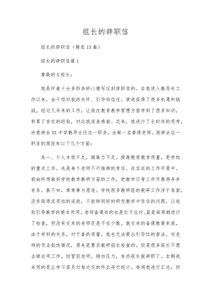 组长的辞职信.docx