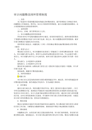 审计问题整改闭环管理制度.docx