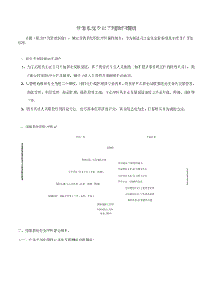 营销系统职位序列操作细则(20240510).docx