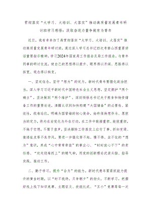 贯彻落实“大学习、大培训、大落实”推动高质量发展青年研讨班学习感悟：汲取奋进力量争做有为青年.docx