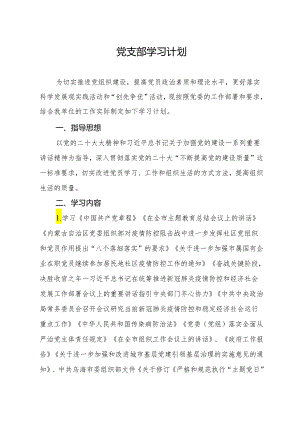 2024党支部学习计划.docx