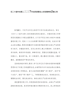 在二十届中央第二轮巡视工作动员部署会上讲话精神的2篇心得体会.docx