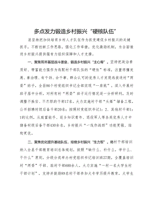 经验交流：多点发力锻造乡村振兴“硬核队伍”.docx