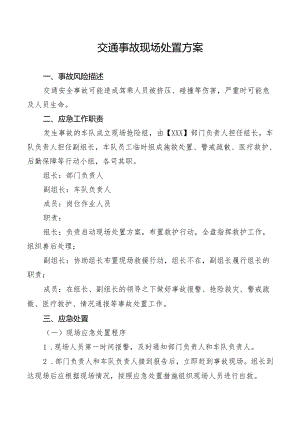 交通事故现场处置方案.docx
