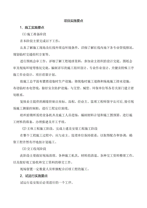 项目实施要点.docx