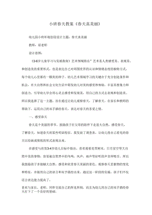 新幼儿园春天课活动教案.docx