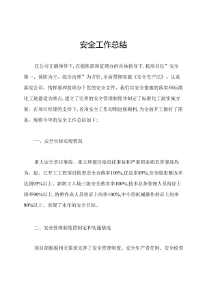 安全工作总结.docx