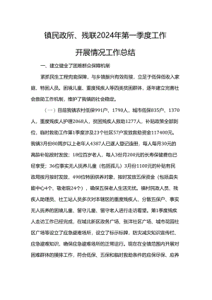 镇民政所、残联2024年第一季度工作开展情况工作总结.docx
