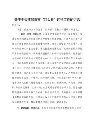 关于中央环保督察“回头看”迎检工作的讲话.docx