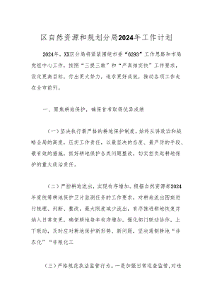 区自然资源和规划分局2024年工作计划.docx