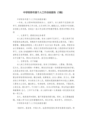 中学财务年度个人工作总结报告（3篇）.docx