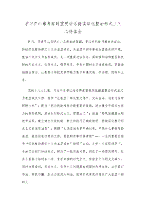 学习在山东考察时重要讲话持续深化整治形式主义心得体会.docx
