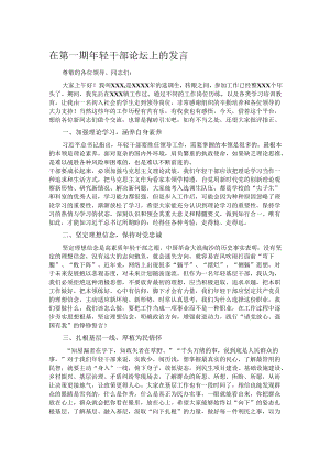 在第一期年轻干部论坛上的发言.docx