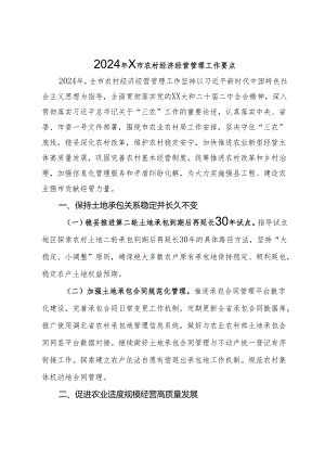 2024年X市农村经济经营管理工作要点.docx