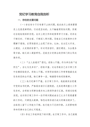 党纪学习教育个人检视剖析材料.docx