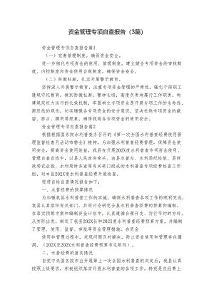 资金管理专项自查报告（3篇）.docx
