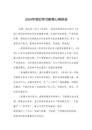 2024年党纪学习教育六大纪律研讨发言17篇.docx