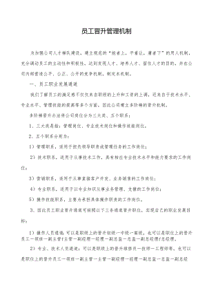 员工晋升管理机制.docx