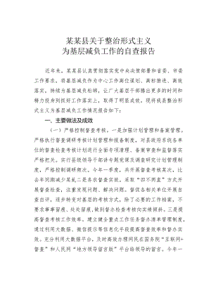 某某县关于整治形式主义为基层减负工作的自查报告.docx