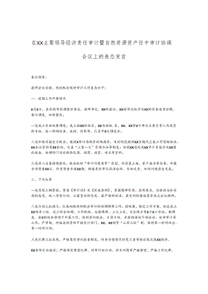 在XX主要领导经济责任审计暨自然资源资产任中审计协调会议上的表态发言.docx