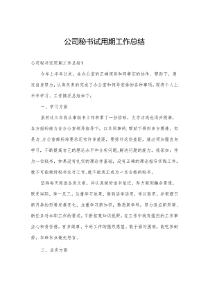 公司秘书试用期工作总结.docx