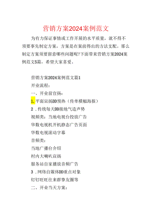 营销方案2024案例范文.docx