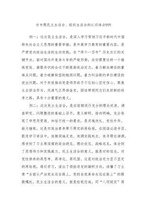 对专题民主生活会、组织生活会的认识体会9例.docx