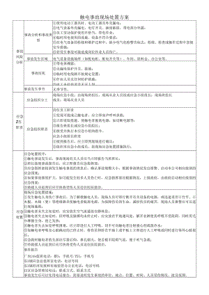 触电事故现场处置方案.docx