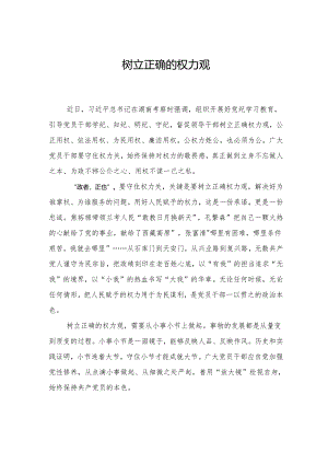 树立正确的权力观.docx