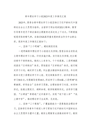 青年理论学习小组2023年度工作情况汇报.docx