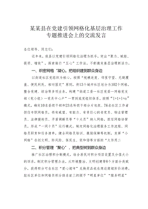 某某县在党建引领网格化基层治理工作专题推进会上的交流发言.docx