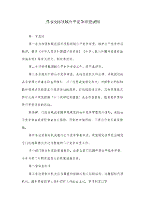 招标投标领域公平竞争审查规则.docx