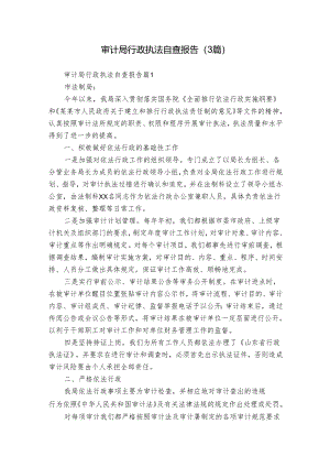 审计局行政执法自查报告（3篇）.docx