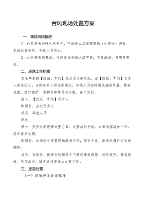 台风现场处置方案.docx