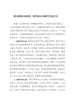 2篇警示教育大会心得体会警示教育片观后感：常怀信念之源 常守为政之本.docx