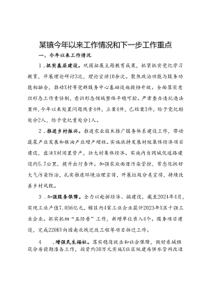 某镇今年以来工作情况和下一步工作重点.docx