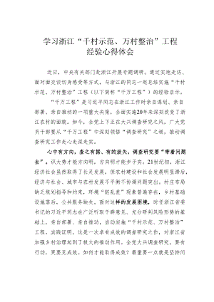 学习浙江“千村示范、万村整治”工程经验心得体会.docx
