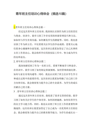 青年班主任培训心得体会（摘选10篇）.docx