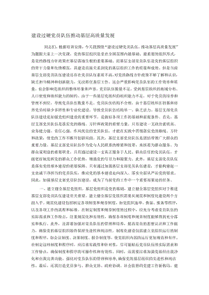 建设过硬党员队伍 推动基层高质量发展.docx