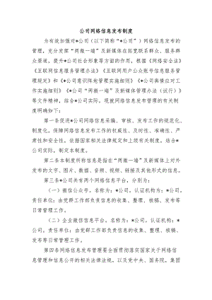公司网络信息发布制度.docx