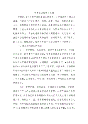 中青培训班学习感悟.docx