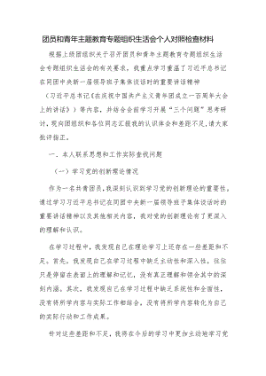 团员和青年主题教育专题组织生活会个人对照检查材料.docx