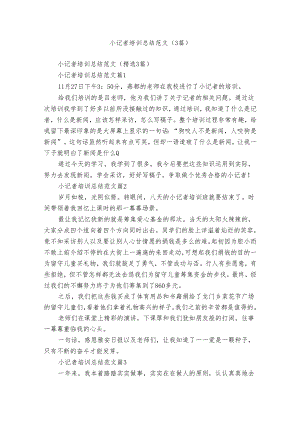 小记者培训总结范文（3篇）.docx