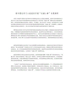 青年理论学习小组组织开展“关键小事”专题调研.docx