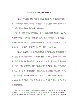 我的动物朋友小狗作文800字.docx
