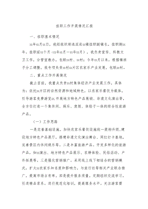 挂职工作开展情况汇报.docx