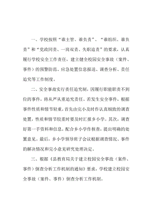 乡镇中心小学落实党政同责一岗双责责任追究制度.docx