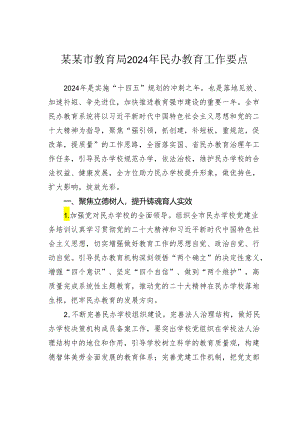 某某市教育局2024年民办教育工作要点.docx